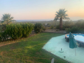 Elaia View